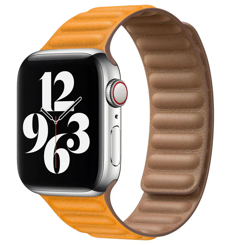 Magnetic Leather Link Band.