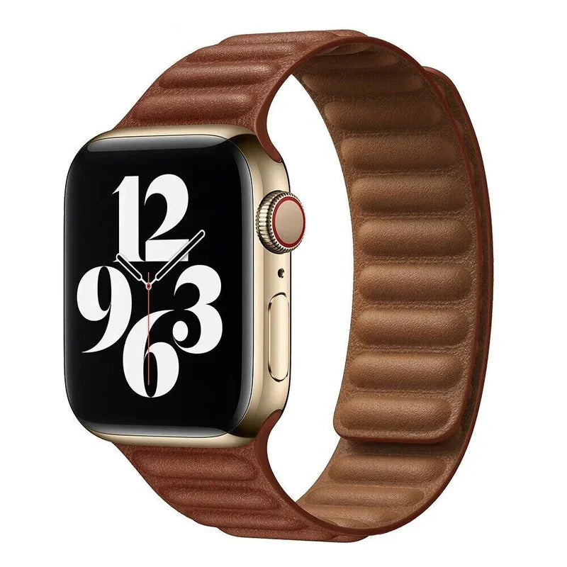 Magnetic Leather Link Band.